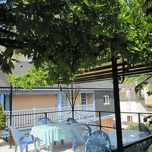 Isatis , Bagnères-de-Bigorre France